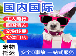 通化三源浦空运地址国际宠物托运 【国